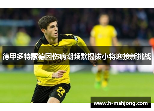 德甲多特蒙德因伤病潮频繁提拔小将迎接新挑战